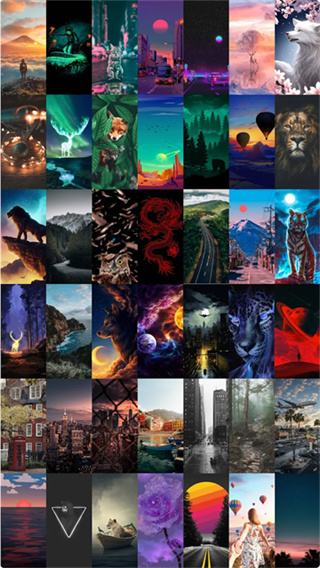 瓦利app(walli 4k) v2.12.90 安卓版 4