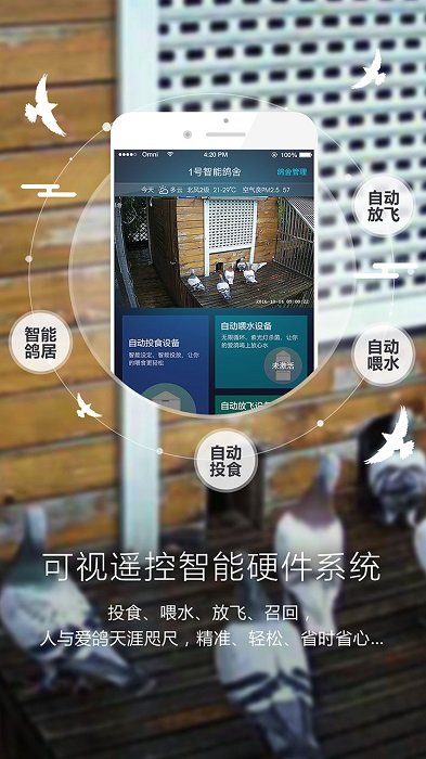 爱鸽者手机版 v3.2.9 安卓版 0