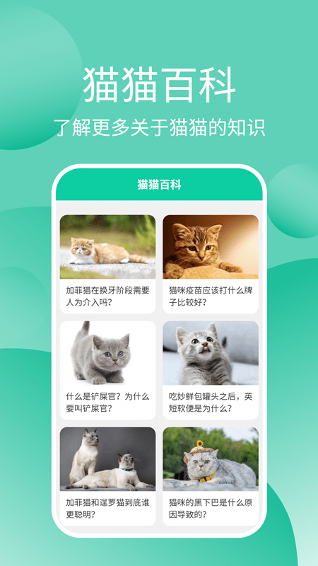 猫猫交流工具最新版 v3.3.7 安卓版 0