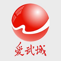 爱武城官方版