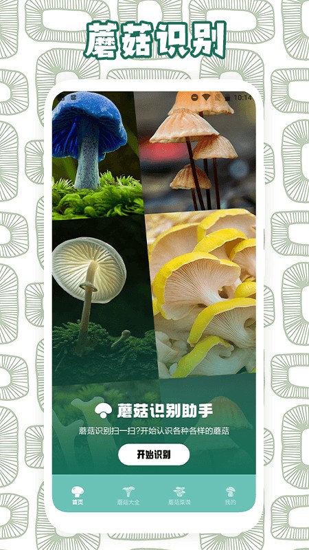 蘑菇识别助手官方版 v1.6 安卓版 3