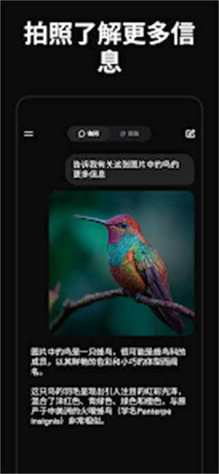 Grok v1.1.36 安卓版 2