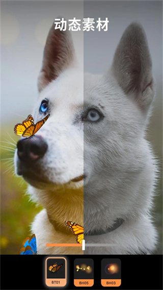 pixaloop官方免费版(改名Motionleap) v1.6.1 安卓版 3