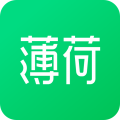 薄荷健康