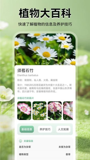 花团锦绣拾光 v1.1 安卓版 0