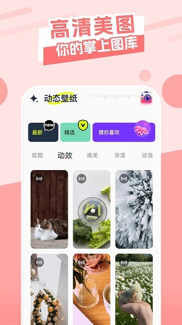 主题库顺来软件 v1.15 安卓版 1