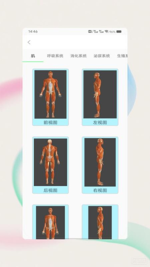解剖图谱 v1.0 安卓版 1