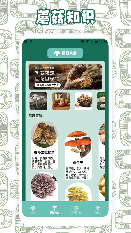 蘑菇识别助手官方版 v1.6 安卓版 0
