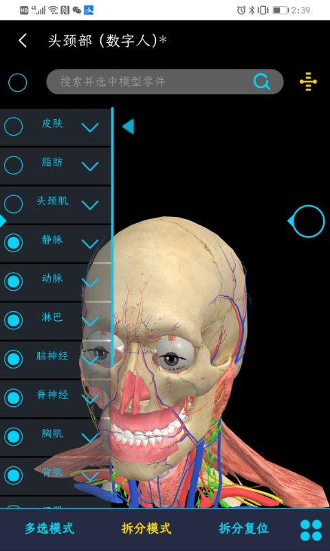 医维度解剖app(又名医维度人体解剖) v3.3.20 安卓平台 0