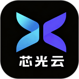 芯光云