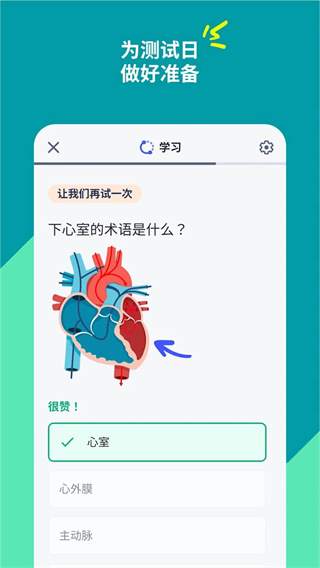 quizlet英语app官方中文版 v10.26 手机最新版 0