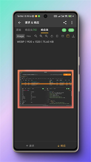 小黄鸟app最新版(httpcanary) v4.8.6 安卓版 3