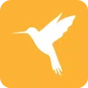 小黄鸟app最新版(httpcanary)