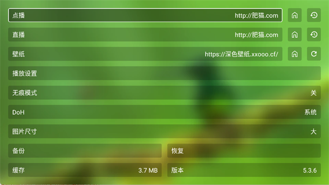 FongMi影视TV盒子版 v5.3.6 安卓版 1