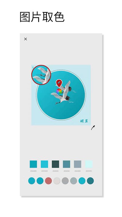 观色app v1.054 安卓版 1