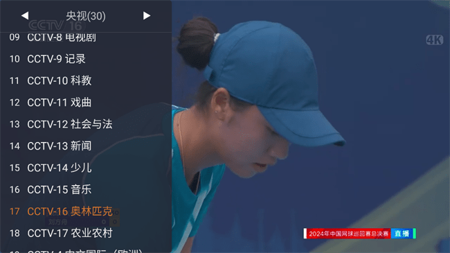 webview电视tv版 v2.1.0 安卓最新版 3