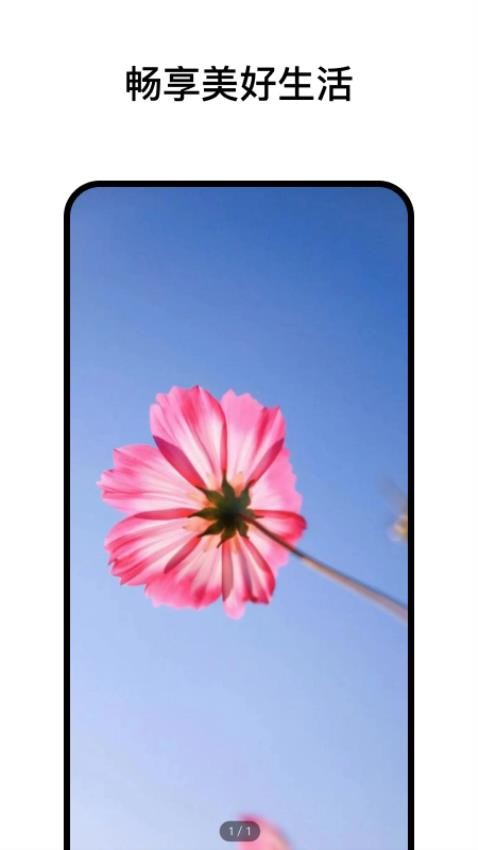 阅小花 v1.1.0 安卓版 2