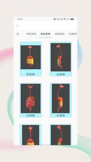 解剖图谱 v1.0 安卓版 3
