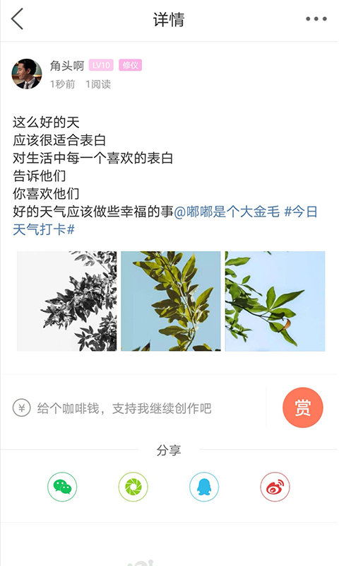 自贡在线平台 v7.7.0.1 安卓手机版 0