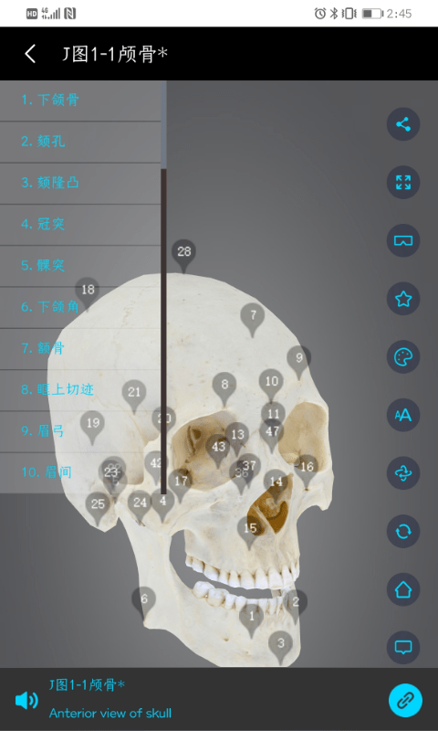 医维度解剖app(又名医维度人体解剖) v3.3.20 安卓平台 1