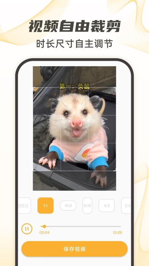 视频下载去水印 v20 手机版 2