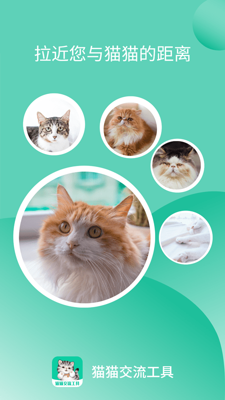 猫猫交流工具最新版 v3.3.7 安卓版 2