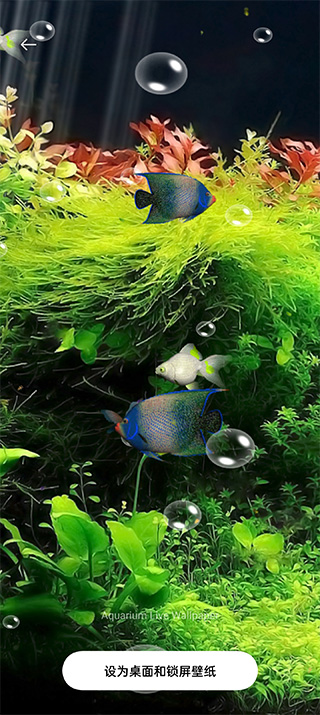 水族馆动态壁纸桌面屏保 v5.3 安卓版 2