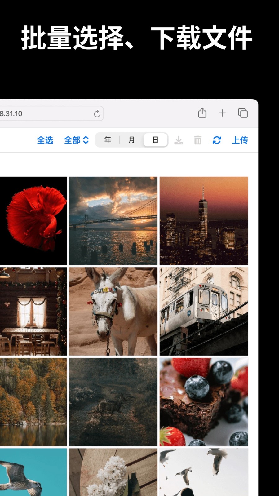 文件闪传旧版本 v6.1.6安卓版 3