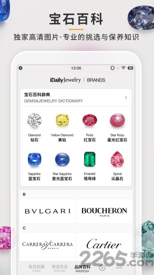 每日珠宝杂志app v0.2.0 安卓手机版 2