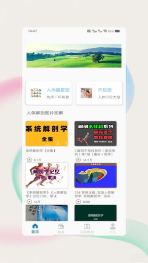 解剖图谱 v1.0 安卓版 0