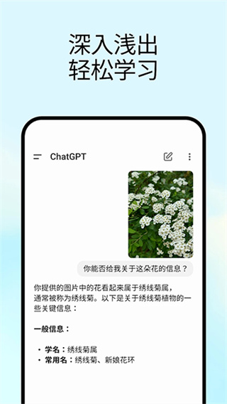 chatgpt4.0官方正版 v1.2026.048 最新版 3