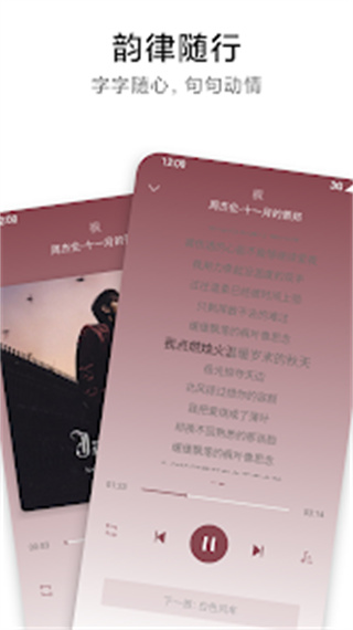 APlayer v2.0.8.0 安卓版 4
